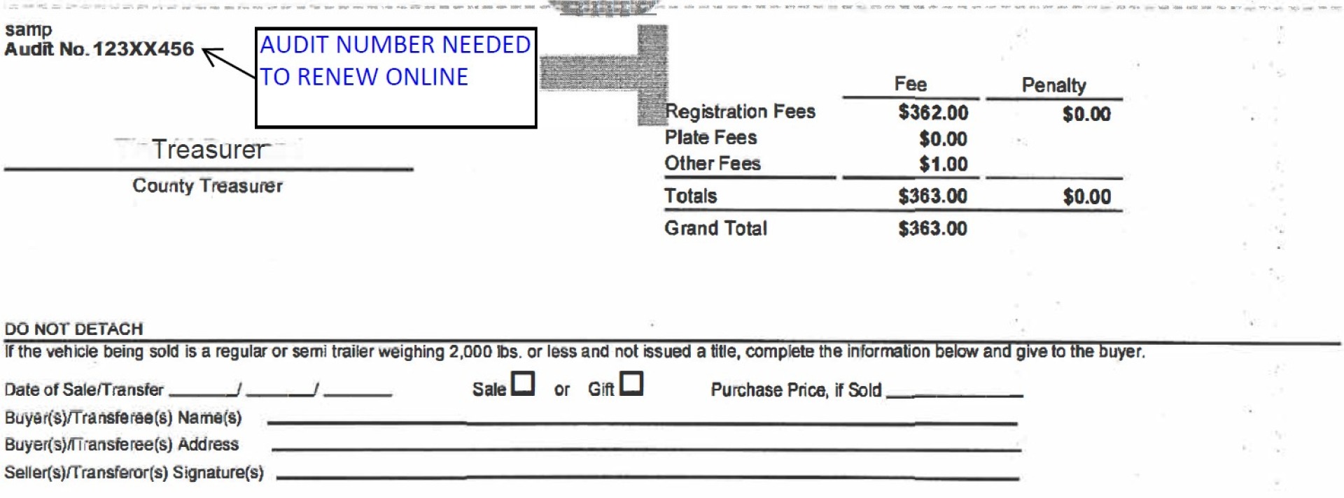 Registration Audit Number Sample