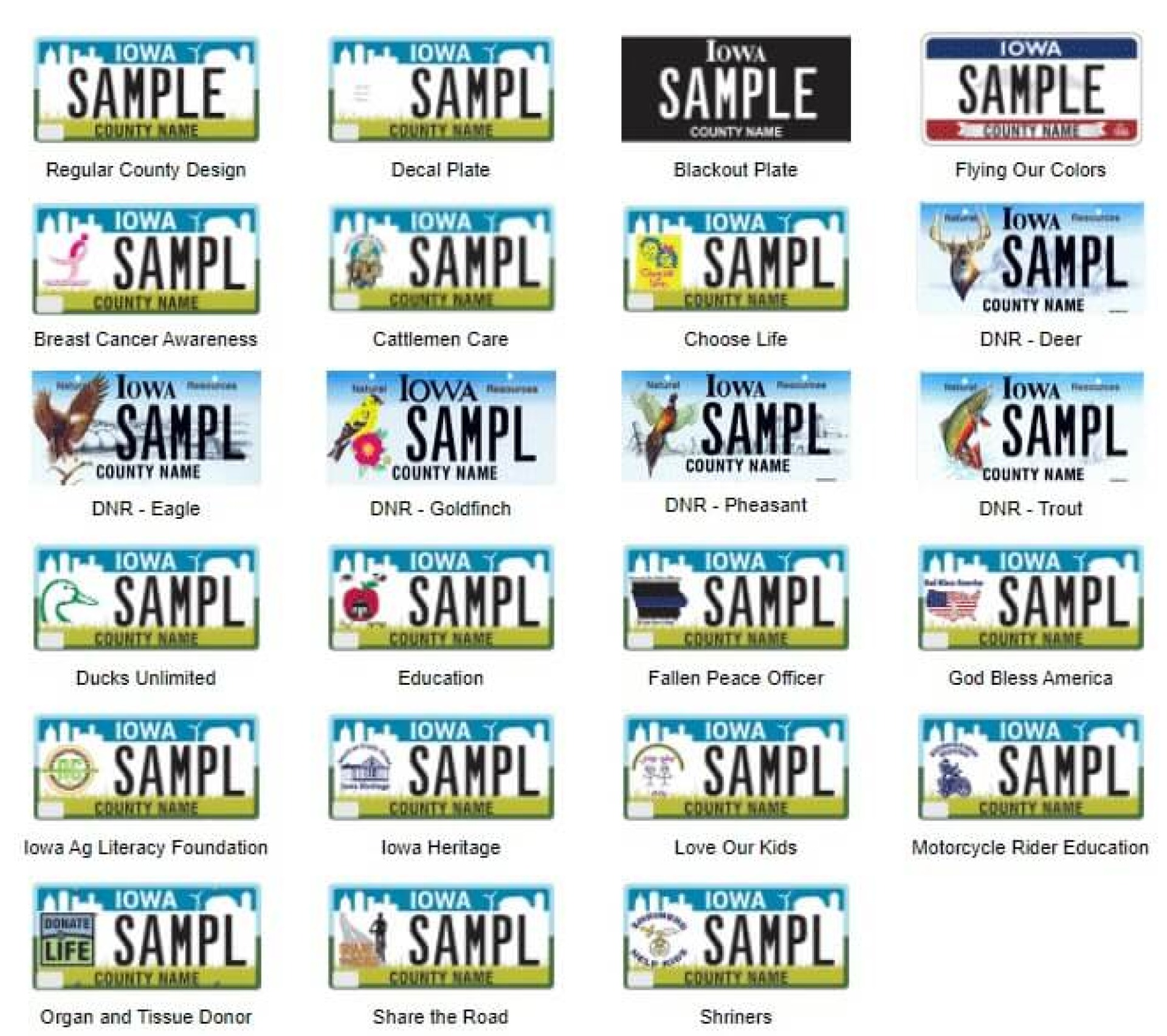 Specialty License Plate Options